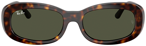 Ray-Ban RB 2221 902/31