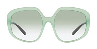 Dolce & Gabbana DG 4421 33458E