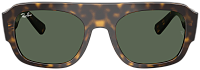 Ray-Ban RB 2218 679071
