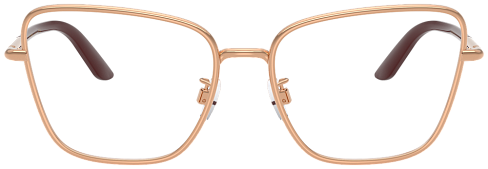 Dolce & Gabbana DG 1359 1298