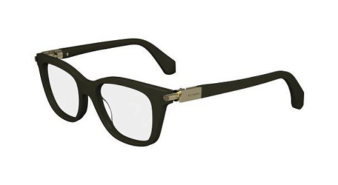 Salvatore Ferragamo SF2973 302
