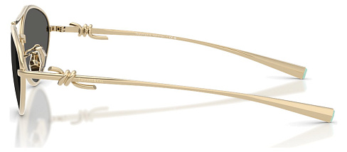 Tiffany & Co TF 3117 6021S4