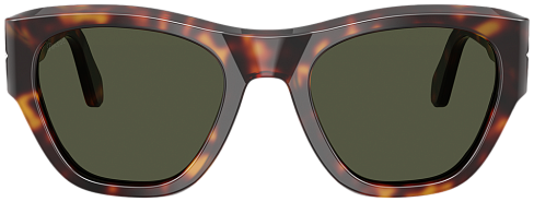 Persol PO 0054S 24/31