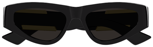 Bottega Veneta BV 1407S 001