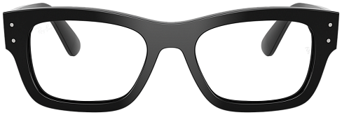 Ray-Ban RX 7683V 2000