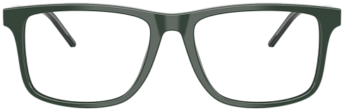 Emporio Armani EA 3257 6257