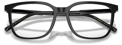 Dolce & Gabbana DG 3445 501
