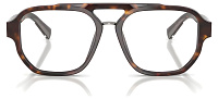 Dolce & Gabbana DG 3447 502