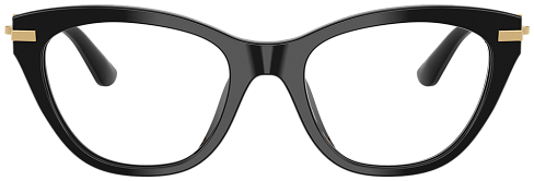 Dolce & Gabbana DG 3428 501