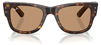 Ray-Ban RB 0840S 902/53