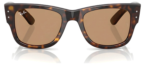 Ray-Ban RB 0840S 902/53