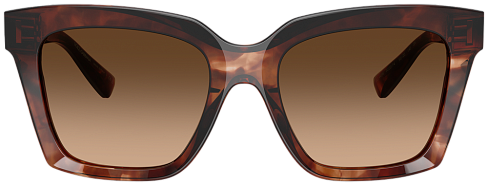 Dolce & Gabbana DG 4498 322274