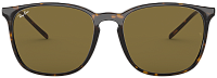 Ray-Ban RB 4387F 902/73