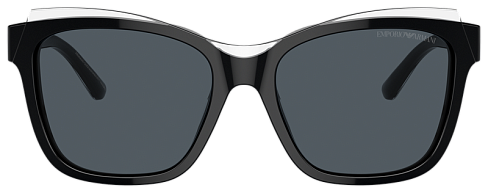 Emporio Armani EA 4209 605187