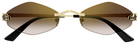 Cartier CT0433S 002