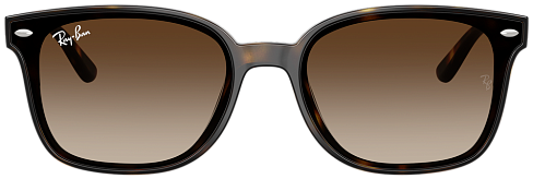 Ray-Ban RB 4461D 710/13