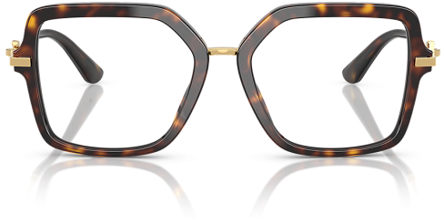 Dolce & Gabbana DG 3396 502