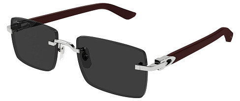 Cartier CT 0579S 006
