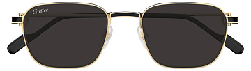 Cartier CT0497S 006