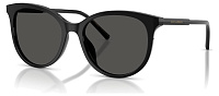 Dolce & Gabbana DG 4540 501/87