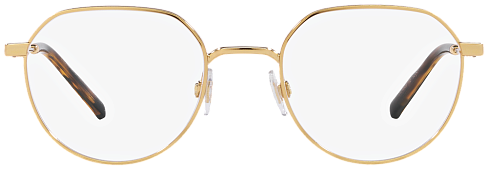 Dolce & Gabbana DG 1349 02