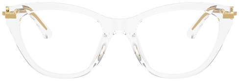 Dolce & Gabbana DG 3428 3133