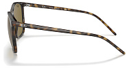 Ray-Ban RB 4387 710/73