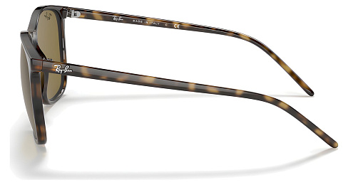 Ray-Ban RB 4387 710/73