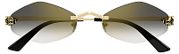 Cartier CT 0433S 001
