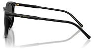 Dolce & Gabbana DG 4540 501/87