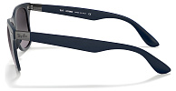 Ray-Ban RB 4195 63318G