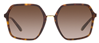 Dolce & Gabbana DG 4422 502/13