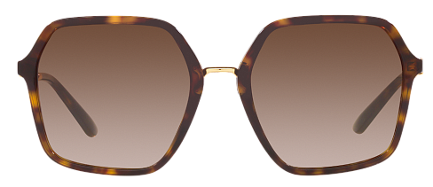 Dolce & Gabbana DG 4422 502/13