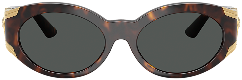 Versace VE 4503U 108/87