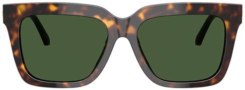 Versace VE 4498 108/71