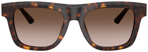 Dolce & Gabbana DG 4521 502/13