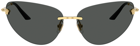 Versace VE 2281 100287