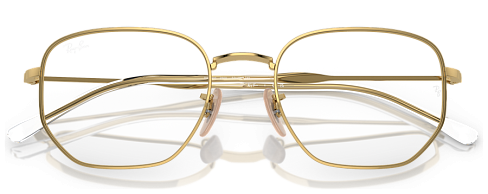 Ray-Ban RX 6496 2500