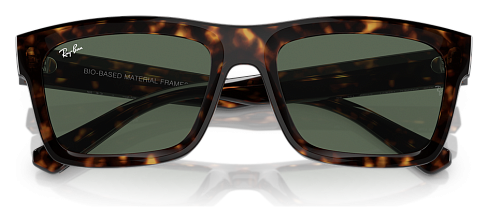 Ray-Ban RB 4396 135971