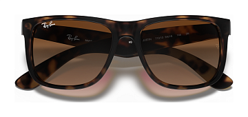 Ray-Ban RB 4165 710/13