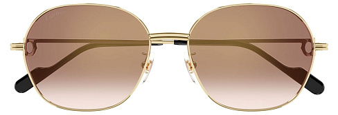 Cartier CT 0569SA 003