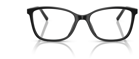 Dolce & Gabbana DG 3424 501