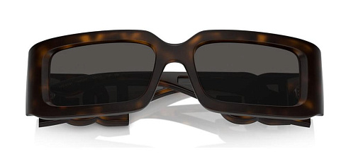 Dolce & Gabbana DG 6197 193587