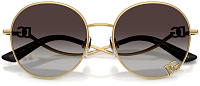 Dolce & Gabbana DG 2324 02/8G