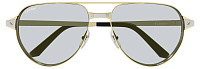 Cartier CT 0425S 006