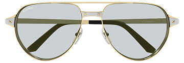 Cartier CT 0425S 006
