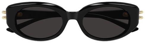 Alexander McQueen AM0469S 001