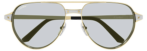 Cartier CT 0425S 006