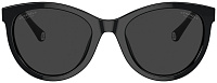 Chanel CH 5523U C50148