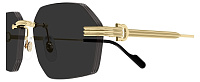 Cartier CT 0616S 001
